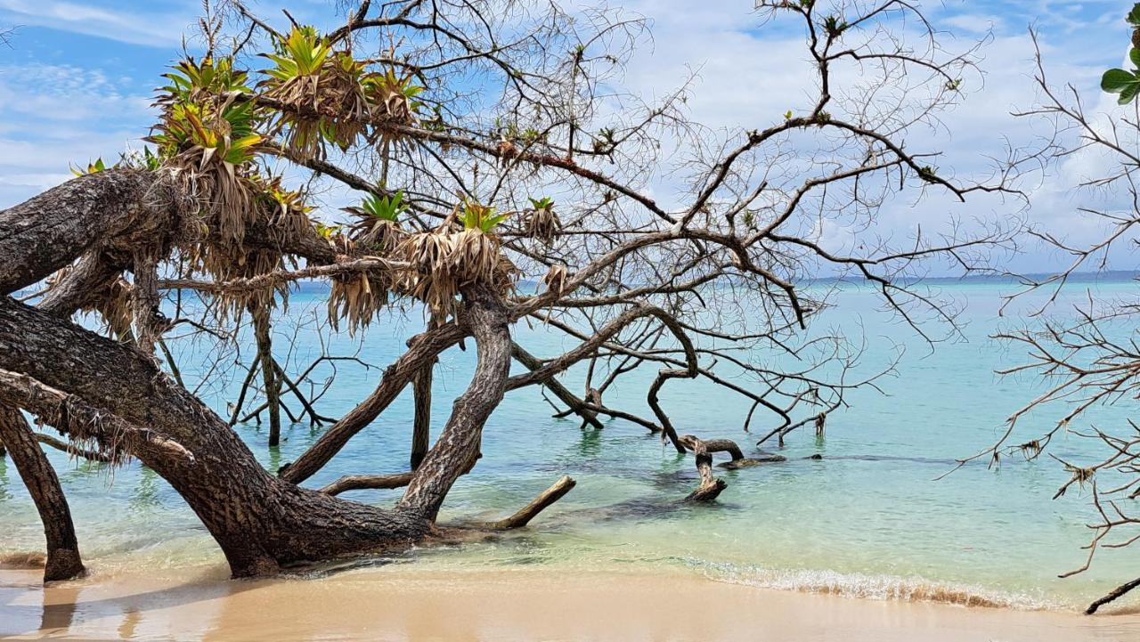 Villa El Clandestino à Bocas del Toro Extérieur photo